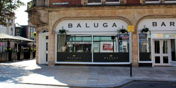 Main image: Baluga