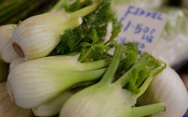 Vegetables close up