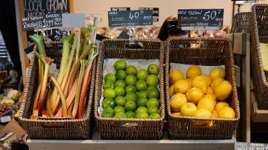 Basket of vegetables