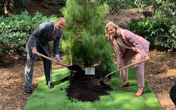 Earl and Countess of Wessex planting a tree to mark the completion of the parks £8 million restoration project