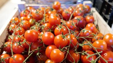 Fresh and Fruity - cherry vine tomatoes