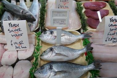 Sea Bream, Silver Hake and Lemon Sole close up